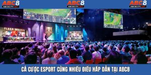 ảnh bìa cá cược esport abc8