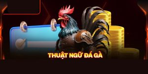 ảnh bìa thuật ngữ đá gà